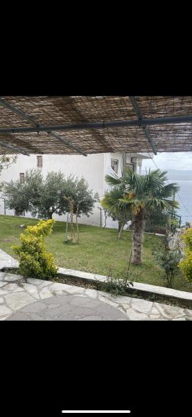 Apartmani Saraf